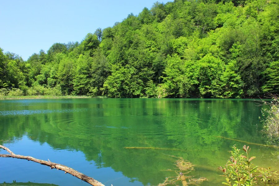 Découvrir les trésors naturels du Jura