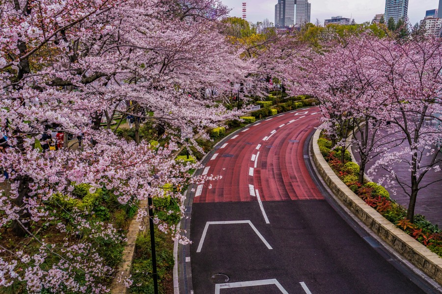 Japon – tradition et modernité au pays du Soleil-Levant