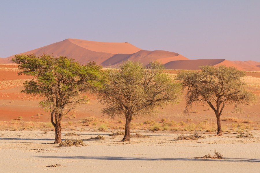 Découverte des paysages époustouflants de la Namibie