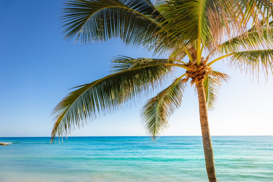 Quelle plage des Caraïbes choisir ?