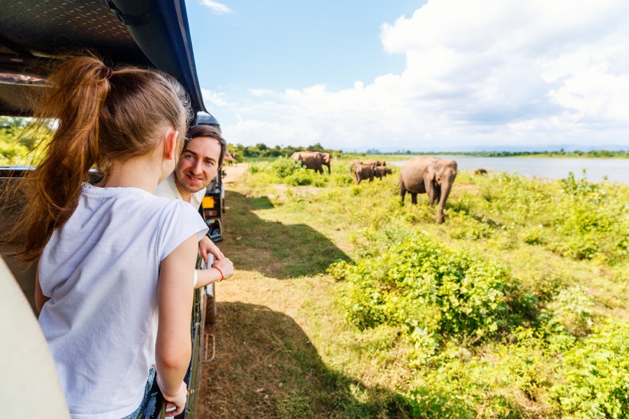 Quel est le meilleur pays d'Afrique pour faire un safari ?