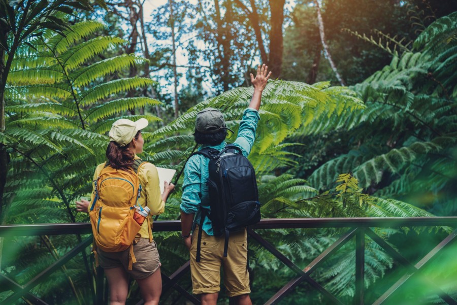 Quelles destinations sont les plus adaptées pour le tourisme écologique ?