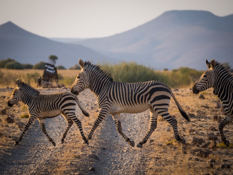 Quelles sont les caractéristiques des paysages de la Namibie ?