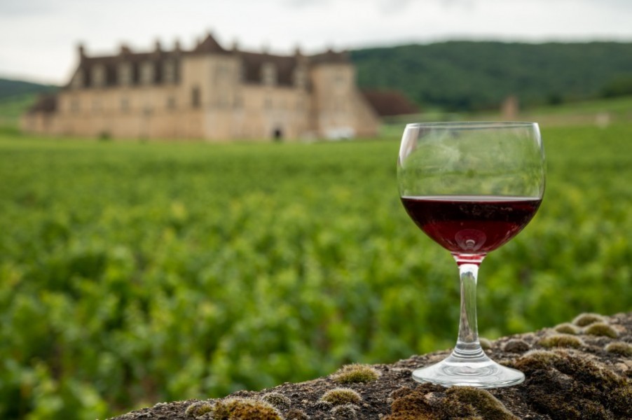 Pourquoi explorer la route des vins en Bourgogne est une expérience incontournable ?