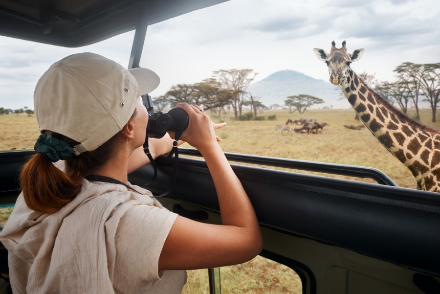 Safari en Afrique : comment vivre un moment inoubliable ?