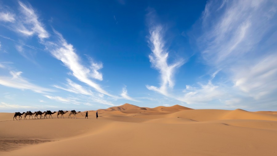 Tunisie – culture méditerranéenne et désert enchanteur